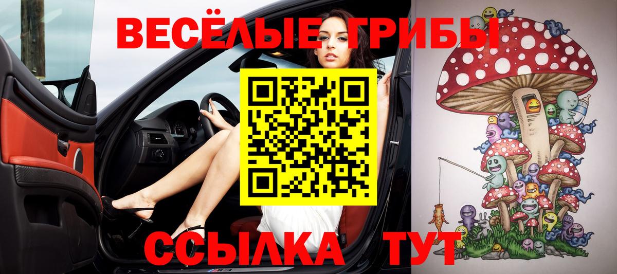Псилоцибиновые грибы Cubensis Рузаевка